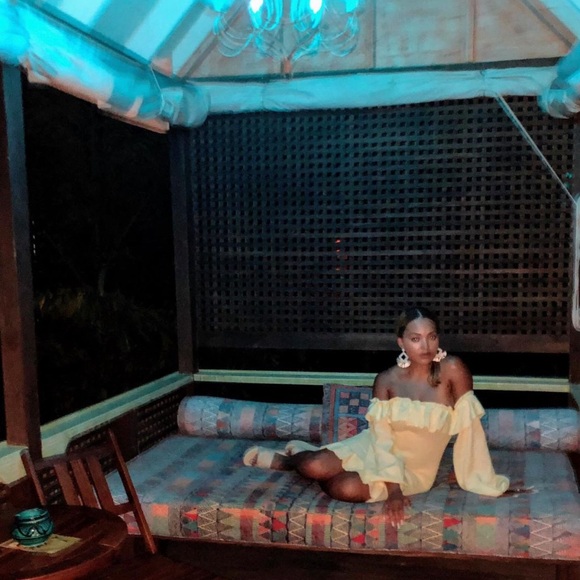 SHEIN Dresses & Skirts - Shirred Bodice Bishop Sleeve Mini Dress